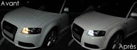 LED for sidelight bulbs and licence plate Audi A3 8P