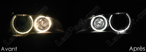 white xenon 6000K LEDs for Angel eyes for BMW X5 (E70)