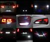 reversing lights LED for Lexus RX II