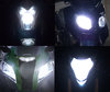 headlights LED for Harley-Davidson XL 1200 N Nightster Tuning