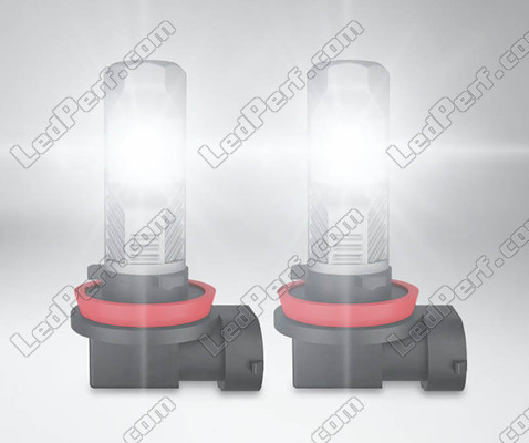 H11 Osram LEDriving Standard LED bulbs for fog lights in operation