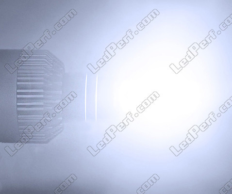 H7 LED Bulbs Special VW Audi Skoda Seat Porsche And Mercedes Rendering