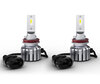 Pair of H8 LED Bulbs Osram LEDriving HL Bright - 64211DWBRT-2HFB