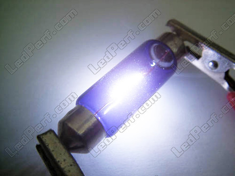Xenon effect 37mm LED bulb C5W Halogen Blue vision