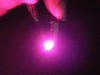 pink TL Meter and instrument panel smd LED for cars