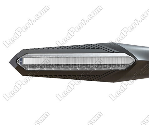 Front view of dynamic LED turn signals with Daytime Running Light for Harley-Davidson Street Glide 1745