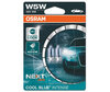 Pair of Osram W5W Cool blue Intense Next Gen LED Effect 4000K Bulbs