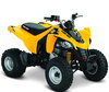 ATV Can-Am DS 250 (2010 - 2016)