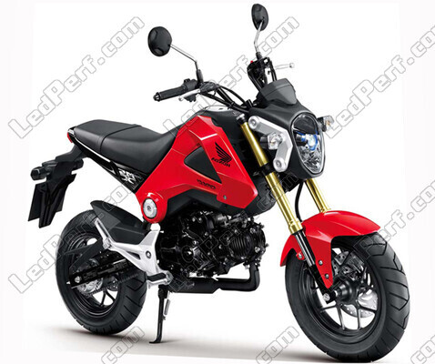 Motorcycle Honda MSX 125 (2013 - 2015) (2013 - 2015)