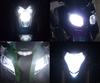 Xenon Effect bulbs pack for Triumph Daytona 675 headlights