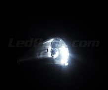Sidelight LED Pack (xenon white) for Fiat Grande Punto / Punto Evo