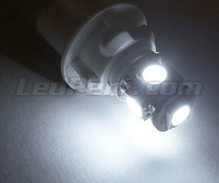 Sidelights LED Pack (xenon white) for Kia Sorento 1
