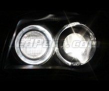 Pack of Xenon effect directional headlight bulbs for BMW Serie 1 (E81 E82 E87 E88)