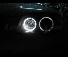 Pack angel eyes with LEDs (pure white) for BMW 1 Series phase 2 - Standard