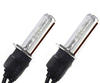 Pack of 2 H3 4300K 55W Xenon HID replacement bulbs