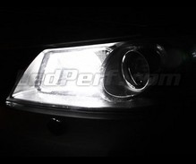 Sidelights LED Pack (xenon white) for Renault Megane 2