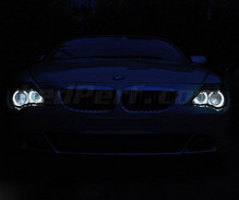 Angel Eyes LED pack for BMW Serie 6 (E63 E64) Phase 1 - With original Xenon - Standard