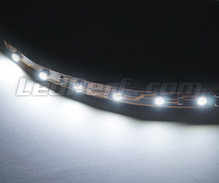 Standard flexible strip with 6 leds TL SMD white